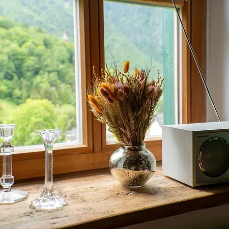 Charmantes Am Berg Ferienhaus Ebensee